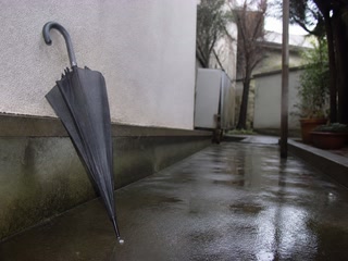 閉じた無地の傘(移動の途中)