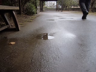 小さな水たまり(移動の途中)。背景に人物が一人写る