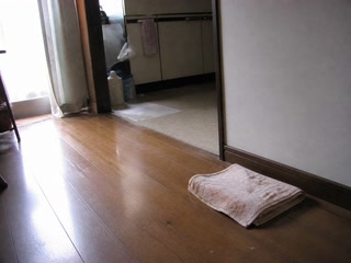 畳んだ古いタオル(家の用事の合間)