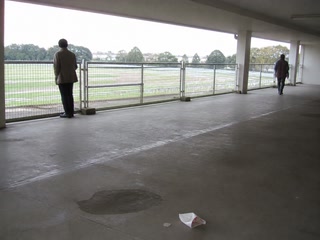 柵と遠い芝色(休憩の途中)