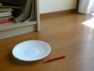 白い皿と赤鉛筆(茶を一口飲んだ後)