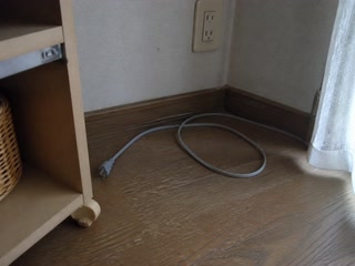 外した電源コード(機械を確かめたついで)