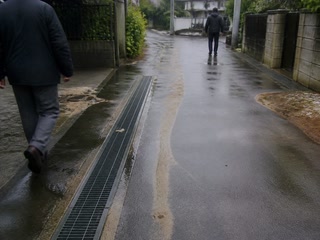 雨の後の排水溝(移動の途中)