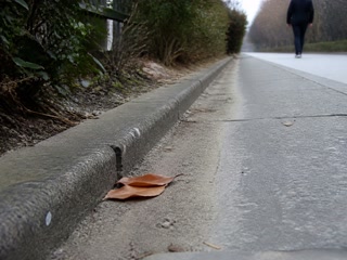 三枚重なった茶色い葉(歩く足を止めた時)。背景に人物が一人写る