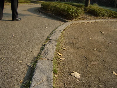 縁石の隙間の細い草（道の端へ目をやった時）。背景に人物が一人写る