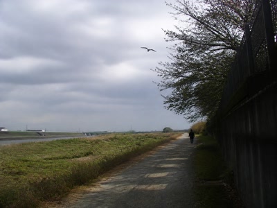 曇り空を横切る鳥の影（歩く足を止めた時）。背景に人物が一人写る