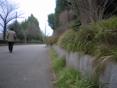 塀の下の名も知らない草（道の端へ目をやった時）。背景に人物が一人写る