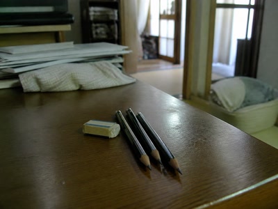 小さな消しゴムと三本の鉛筆（手帳を閉じる前）