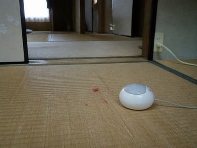 丸いマウスと赤い削りかす（机へ座った時）