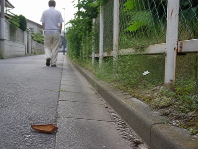 一つだけ残った小さな花（道の端へ目をやった時）。背景に人物が一人写る