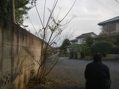 葉の少ない細い枝（道の端へ目をやった時）。背景に人物が一人写る