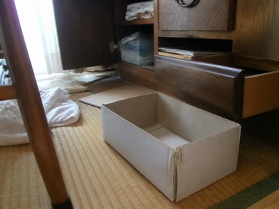 片付け途中の紙箱(棚を見直したついで)