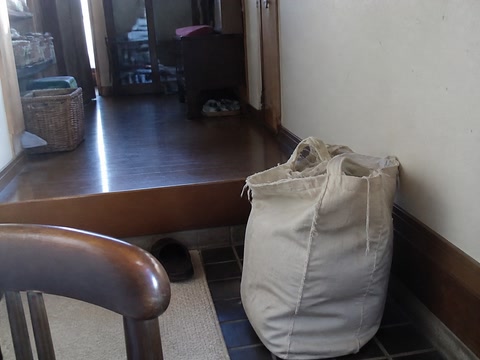 ほつれた買い物袋（棚を見直したついで）