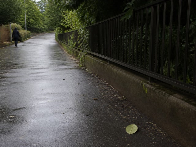駅へ続く濡れた舗装路（待ち時間ができた時）。背景に人物が一人写る