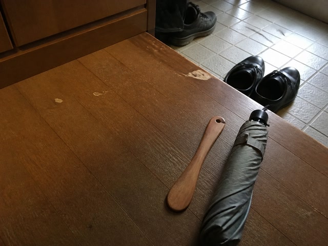靴べらと小さな折り畳み傘（棚を見直したついで）